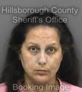 Perez Tracy - Hillsborough County, Florida 