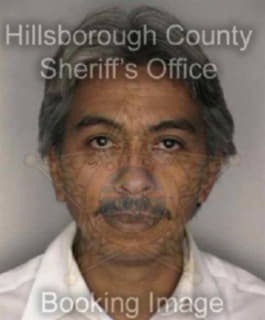 Allicock Carlos - Hillsborough County, Florida 