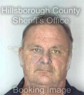 Michaels Guy - Hillsborough County, Florida 