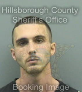 Mohagheghi Nickou - Hillsborough County, Florida 