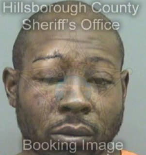 Richardson Robert - Hillsborough County, Florida 