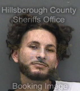 Arroyo Luis - Hillsborough County, Florida 