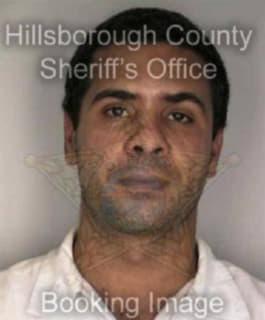 Aponte Luis - Hillsborough County, Florida 