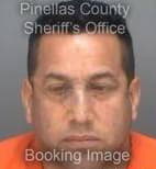 Gonzalez Alexander - Pinellas County, Florida 