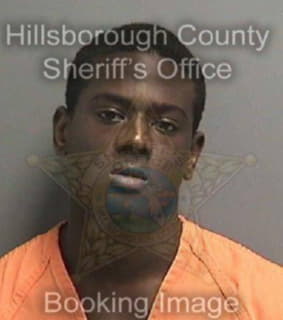 Williams Dontae - Hillsborough County, Florida 