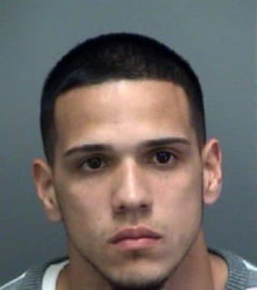 Montes Joshua - Pinellas County, Florida 