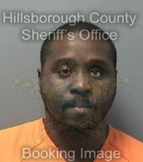 Lindsey Aaron - Hillsborough County, Florida 