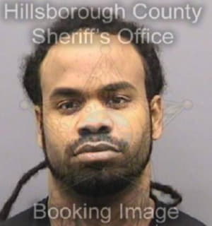 Viaud Joel - Hillsborough County, Florida 