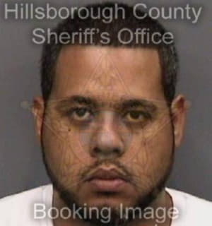 Vicens Andres - Hillsborough County, Florida 