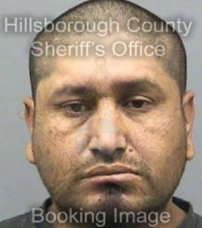 Nunez Jose - Hillsborough County, Florida 