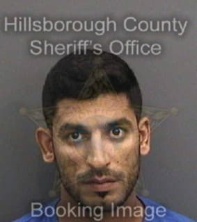 Ali Ali - Hillsborough County, Florida 