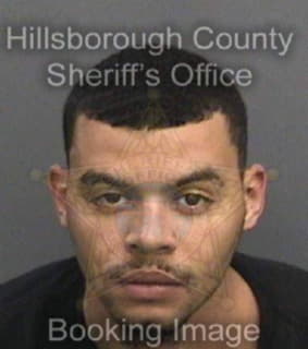 Williams Chazz - Hillsborough County, Florida 