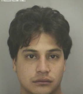 Castellanos Daniel - Broward County, Florida 