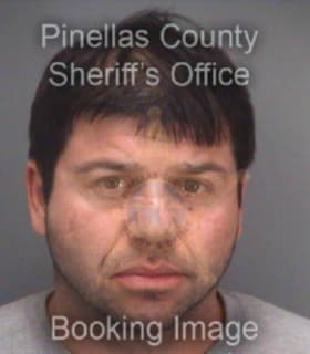 Gorgievski Dimitar - Pinellas County, Florida 