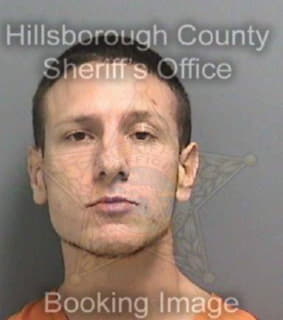 Mazzarella Michael - Hillsborough County, Florida 