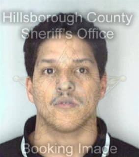 Dejesusmorales Carlos - Hillsborough County, Florida 