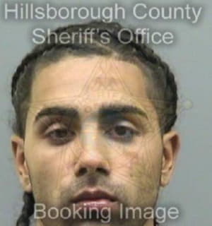 Perez Elliot - Hillsborough County, Florida 