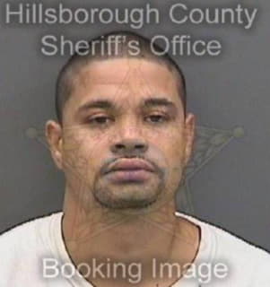 Lopez Roberto - Hillsborough County, Florida 