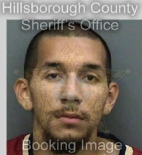 Nunez Alex - Hillsborough County, Florida 