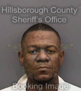 Wilson Darrell - Hillsborough County, Florida 