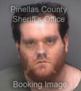 Sippell Donald - Pinellas County, Florida 