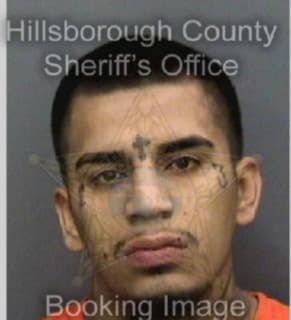 Ledesma Ricky - Hillsborough County, Florida 