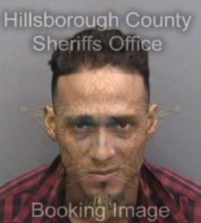 Betancourth Alvaro - Hillsborough County, Florida 