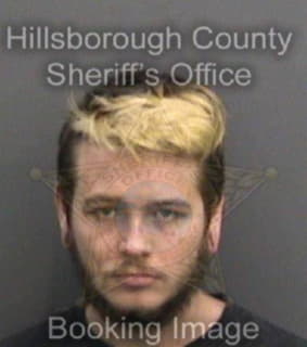 Ford Sean - Hillsborough County, Florida 