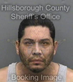 Martinez Antolino - Hillsborough County, Florida 