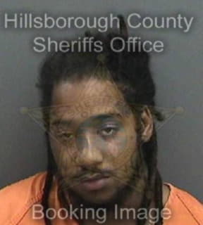 Williams Davian - Hillsborough County, Florida 