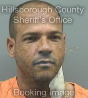 Carrillo Juan - Hillsborough County, Florida 