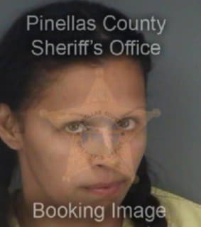 Gonzalez Milagros - Pinellas County, Florida 