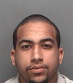 Gonzalez Giancarlo - Pinellas County, Florida 