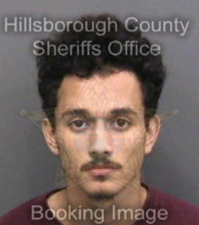 Diaz Gianni - Hillsborough County, Florida 