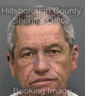 Villanueva Jorge - Hillsborough County, Florida 