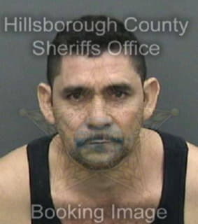 Amadornavarro Manuel - Hillsborough County, Florida 