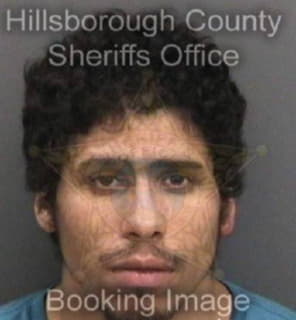 Rivera Jonathan - Hillsborough County, Florida 