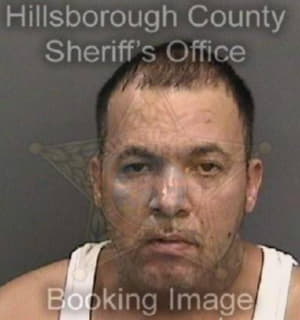 Dros Luis - Hillsborough County, Florida 