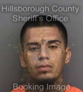 Ledesma Ricky - Hillsborough County, Florida 