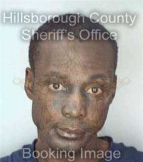 Williams David - Hillsborough County, Florida 