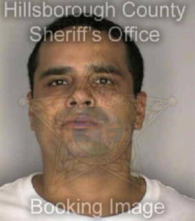 Martoral Edwin - Hillsborough County, Florida 