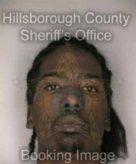 Sampson Dalfonso - Hillsborough County, Florida 