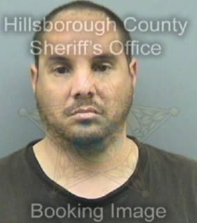 Perezrivera Daniel - Hillsborough County, Florida 