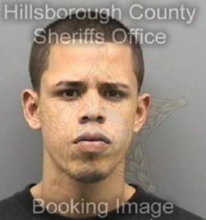 Dejesus Luis - Hillsborough County, Florida 