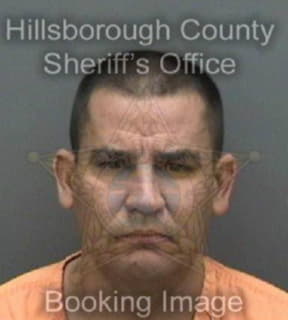 Delanunezdelgado Osmany - Hillsborough County, Florida 