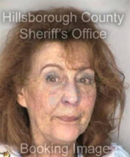 Phillips Barbara - Hillsborough County, Florida 