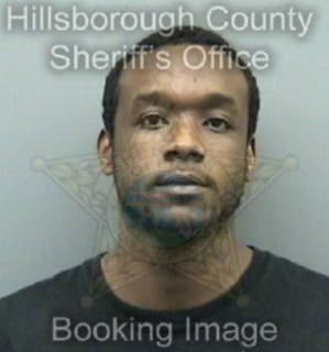 Johnson Doyle - Hillsborough County, Florida 