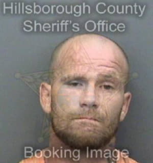 Davis Martin - Hillsborough County, Florida 