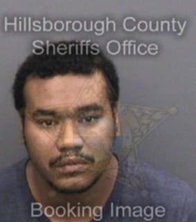 Peters Michael - Hillsborough County, Florida 