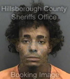 Depalma Derrick - Hillsborough County, Florida 